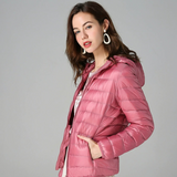 Catarina - Abrigo entre estaciones